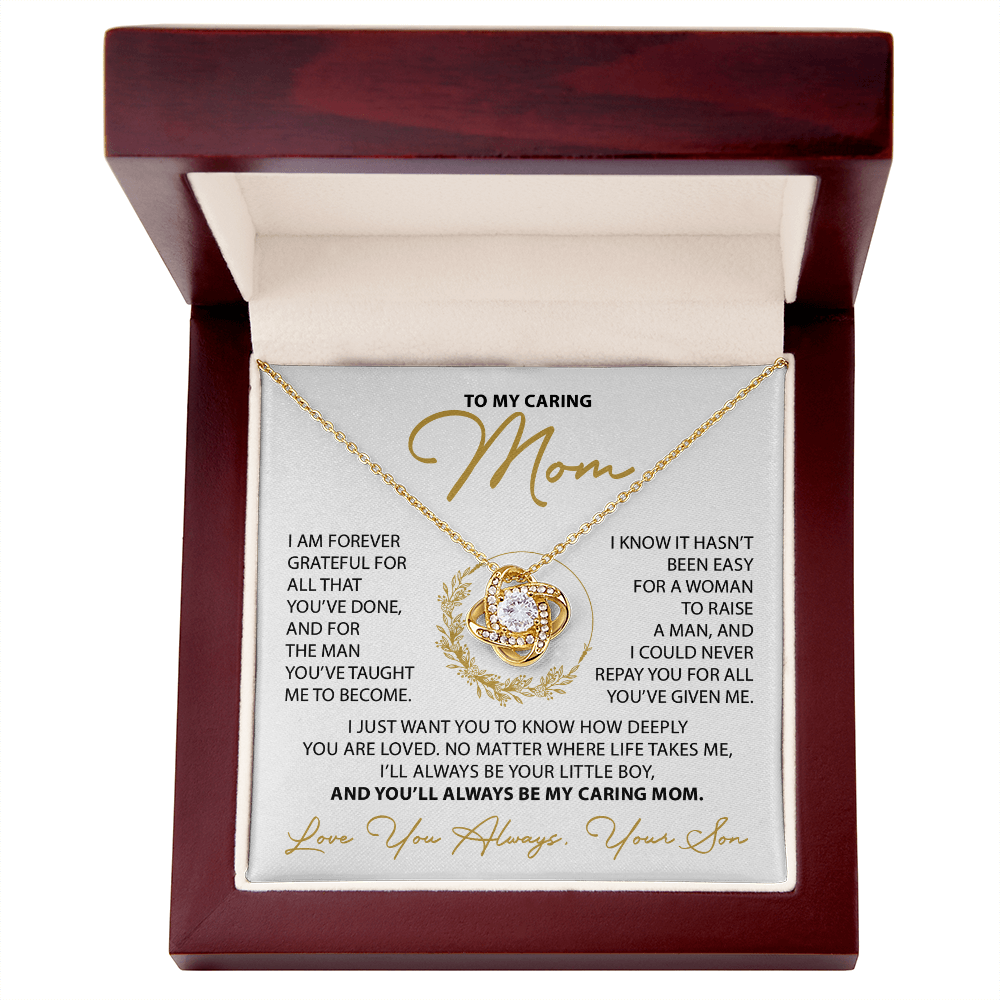 To My Mom - Everything good in me began with you - From Son