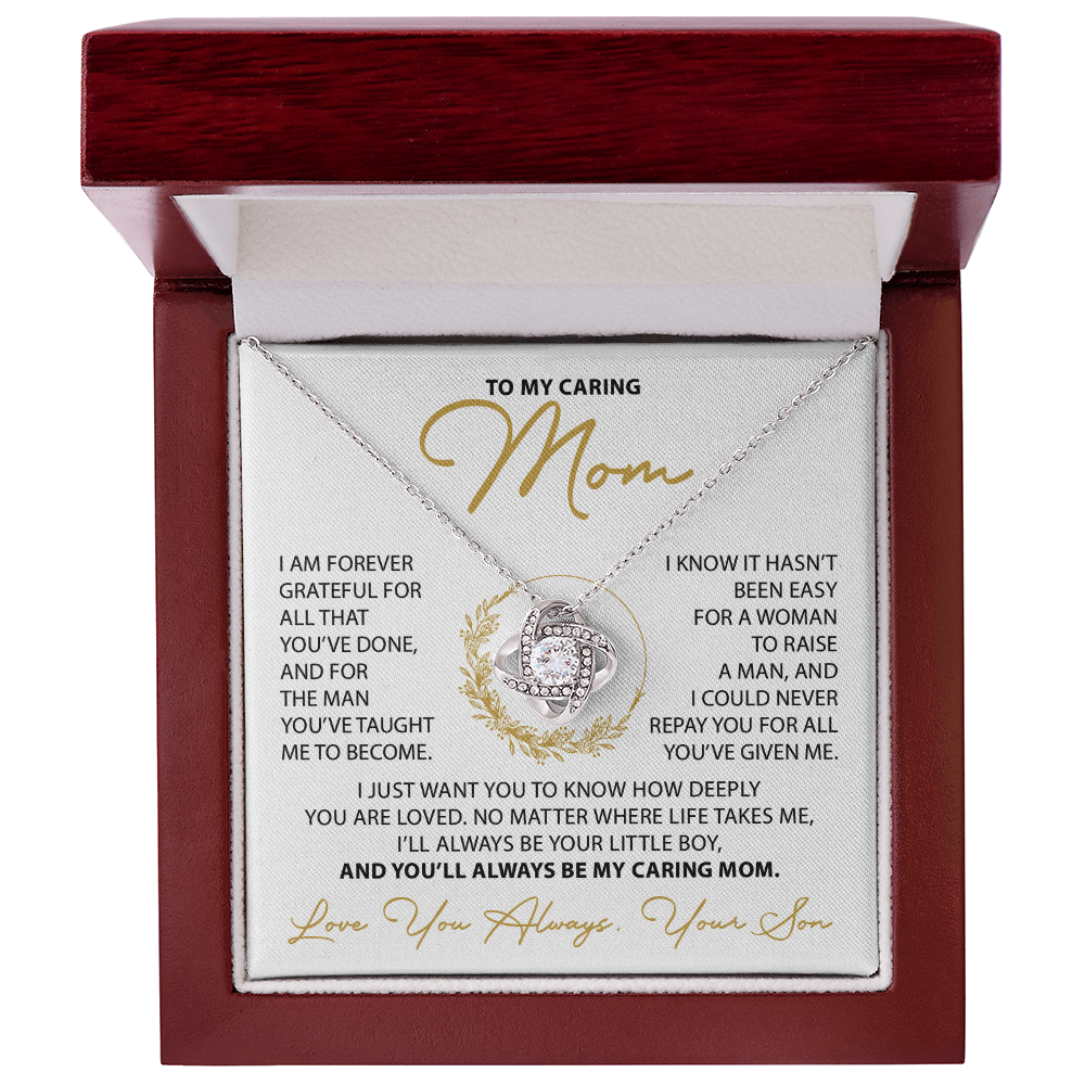 To My Mom - Everything good in me began with you - From Son
